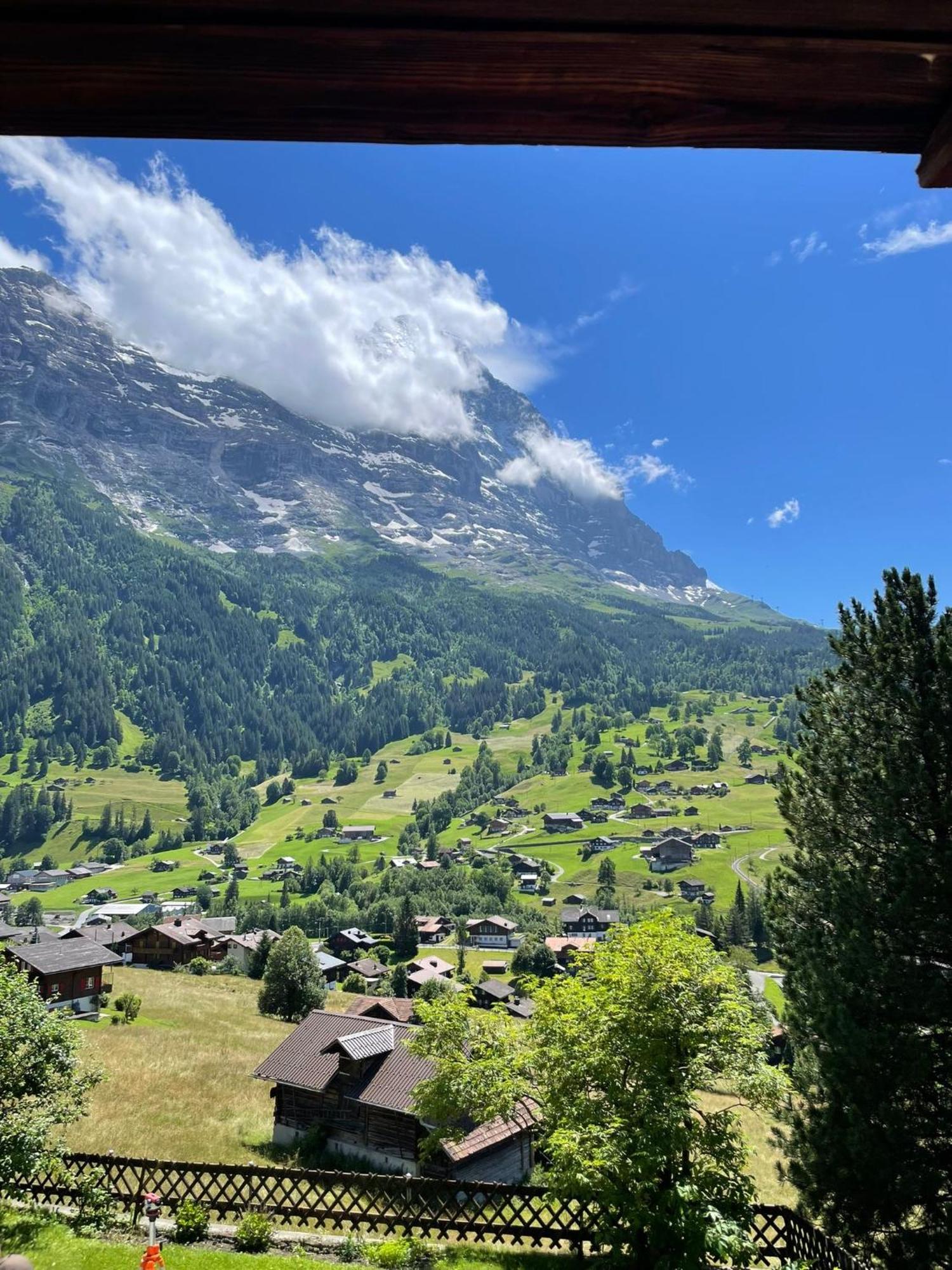 Cosy Swiss Appartement Grindelwald
